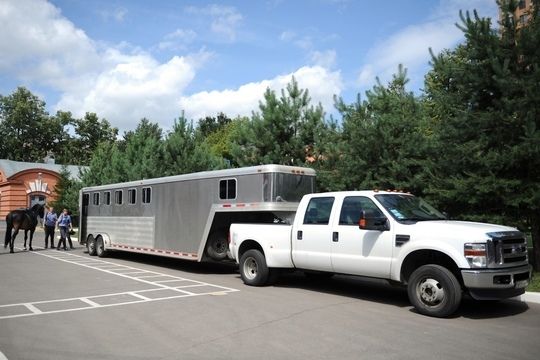 Horse & Livestock Transport Insurance Ocala FL Equine Haulers