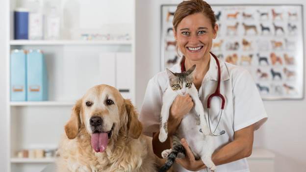 Un chat et un chien avec un vétérinaire.