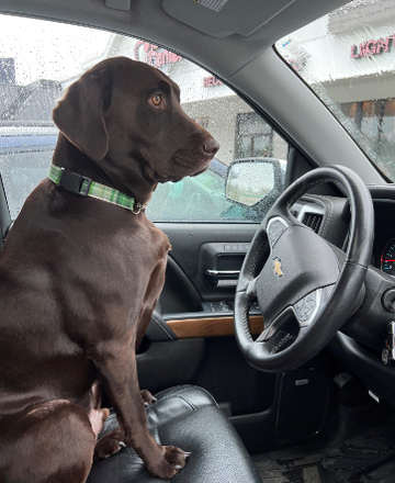 Sheila Gassman - Insurance Producer at Kelley Insurance