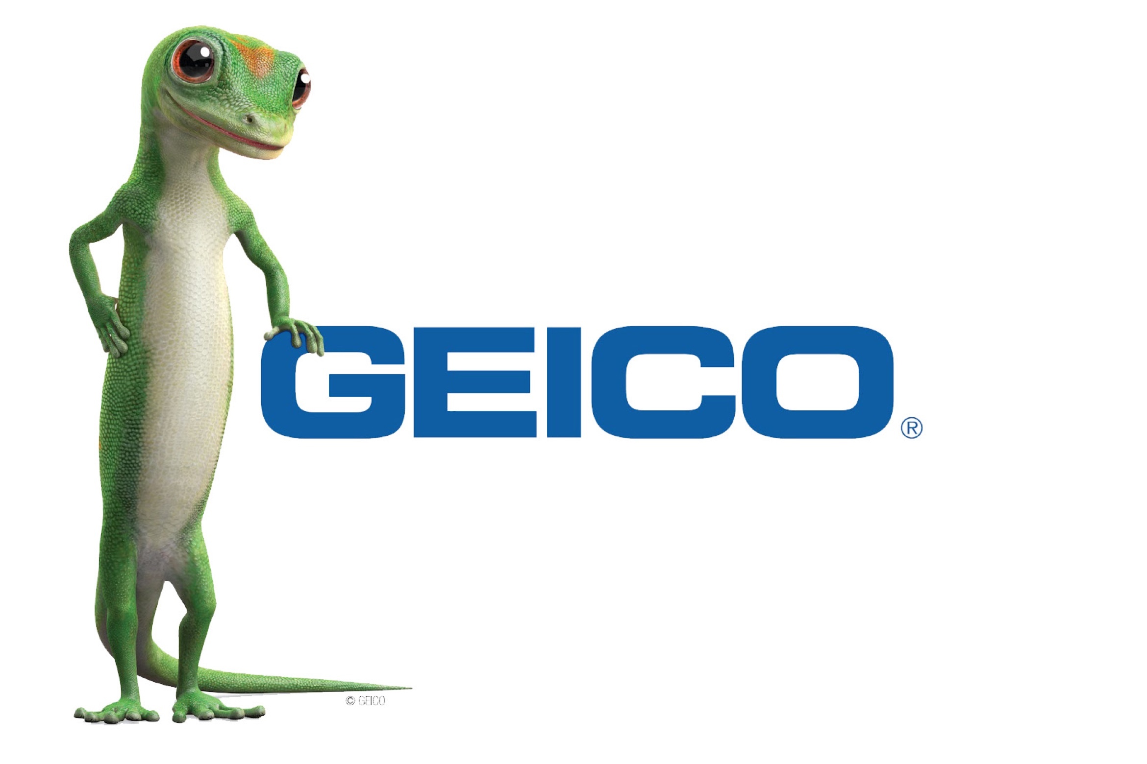 GEICO Insurance from RIGHTSURE
