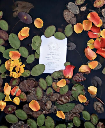 example of Salt + Heart Photography's work'