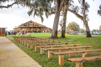 Beautiful moss-covered oaks at The Barn at Lakeside Ranch in Hawthorne, Florida.
