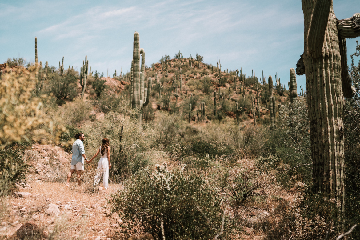 SAFECO INSURANCE AGENT in ARIZONA