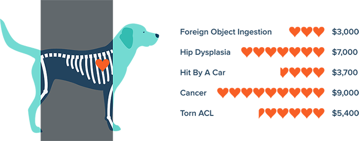 Vet Costs from Figo