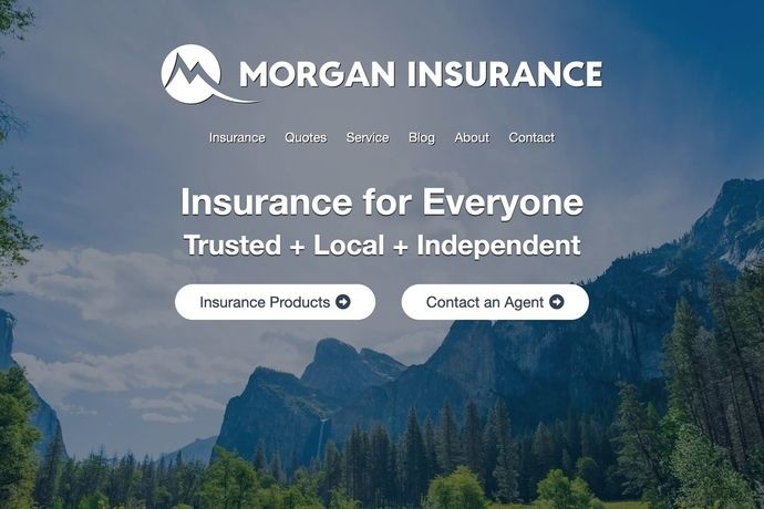 Morgan Insurance template screenshot