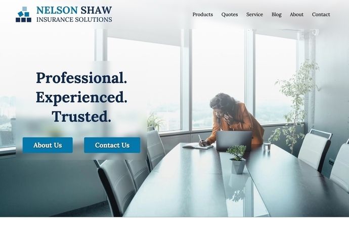 Nelson Insurance template screenshot