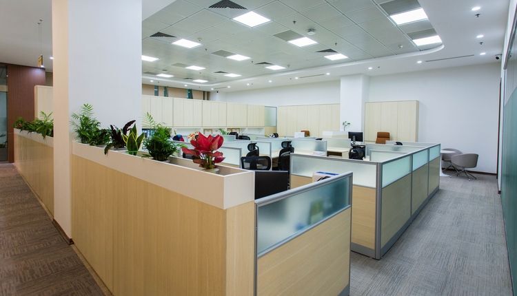 Bright corporate office with open cubicles