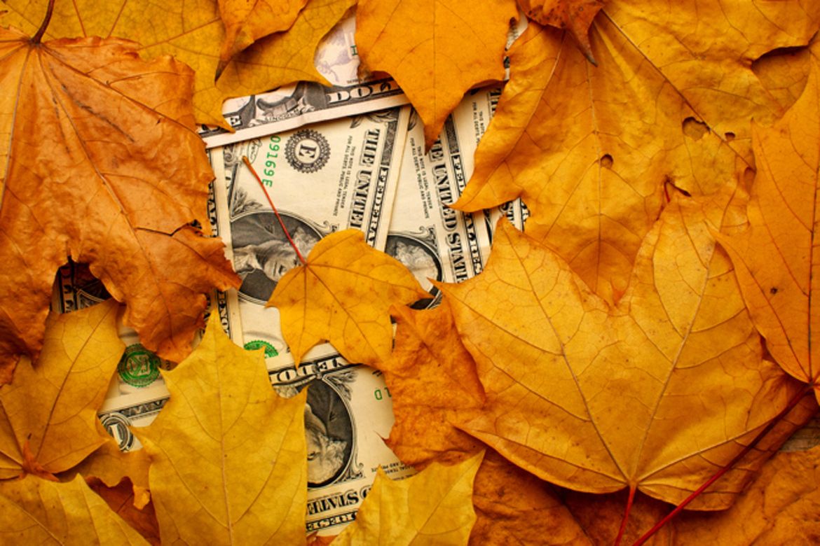 Dollar bills under orange autumn leaves, representing commercial liability insurance risks.