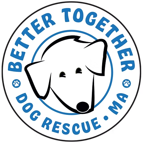 Better Together Dog Rescue