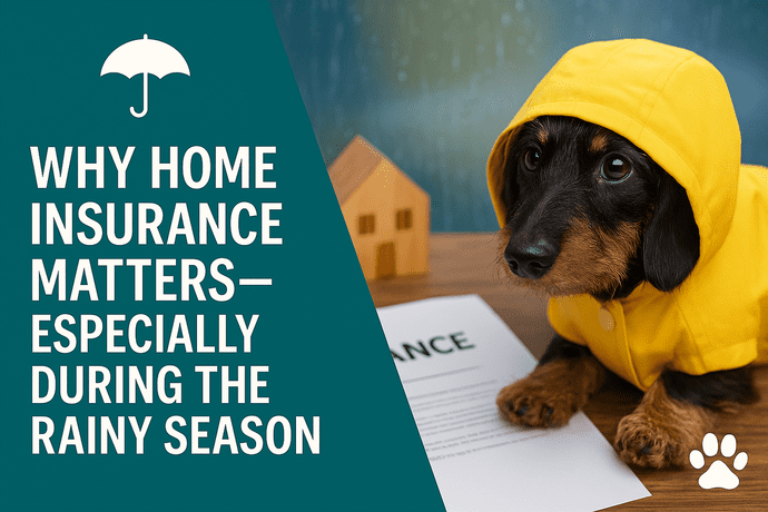 A wirehaired black and tan dachshund wearing a yellow raincoat sits beside a home insurance document and a small wooden house, with bold text reading 'Why Home Insurance Matters—Especially During the Rainy Season.